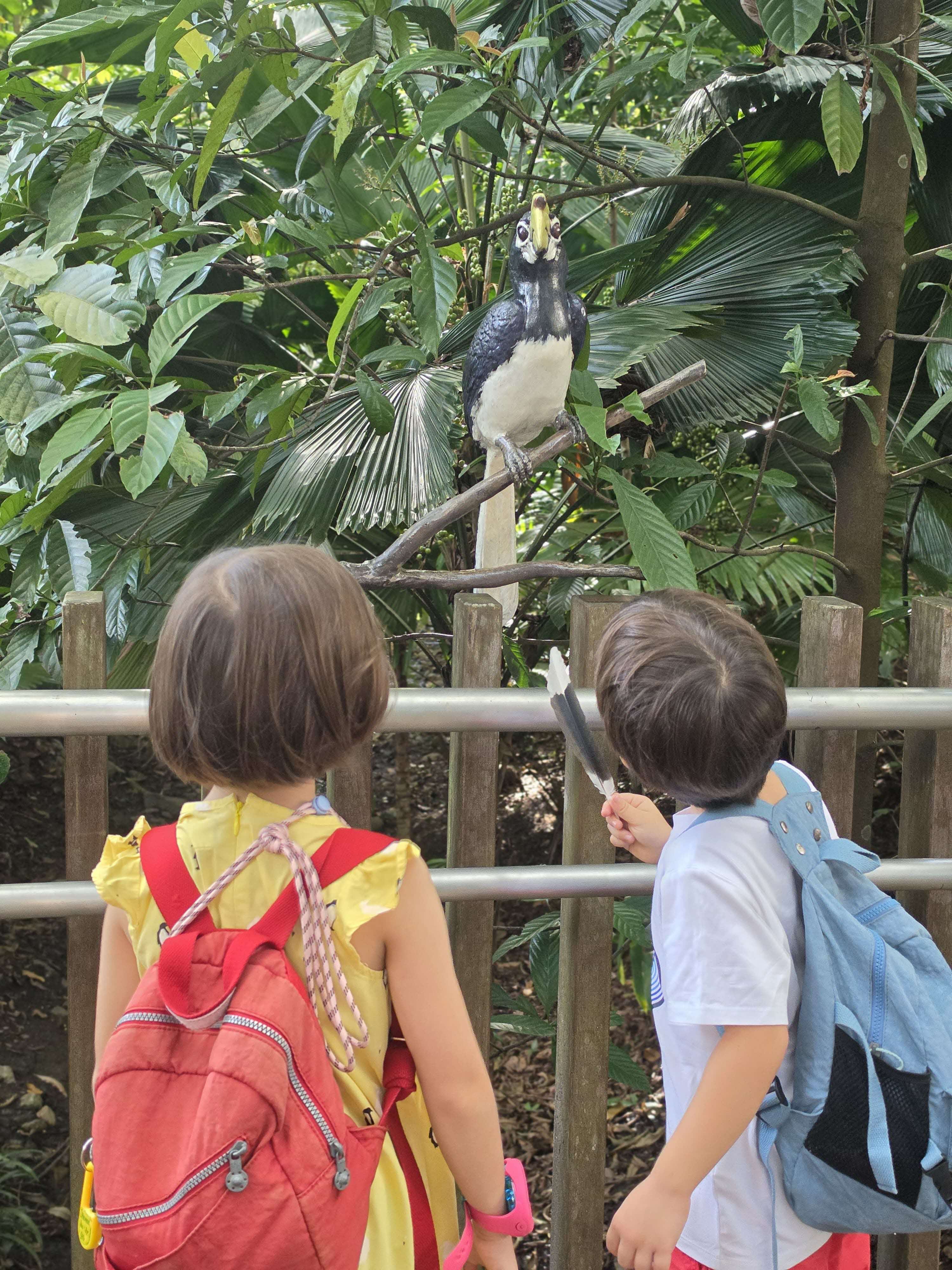 Jacob Ballas Children's Garden Hornbill sculpture